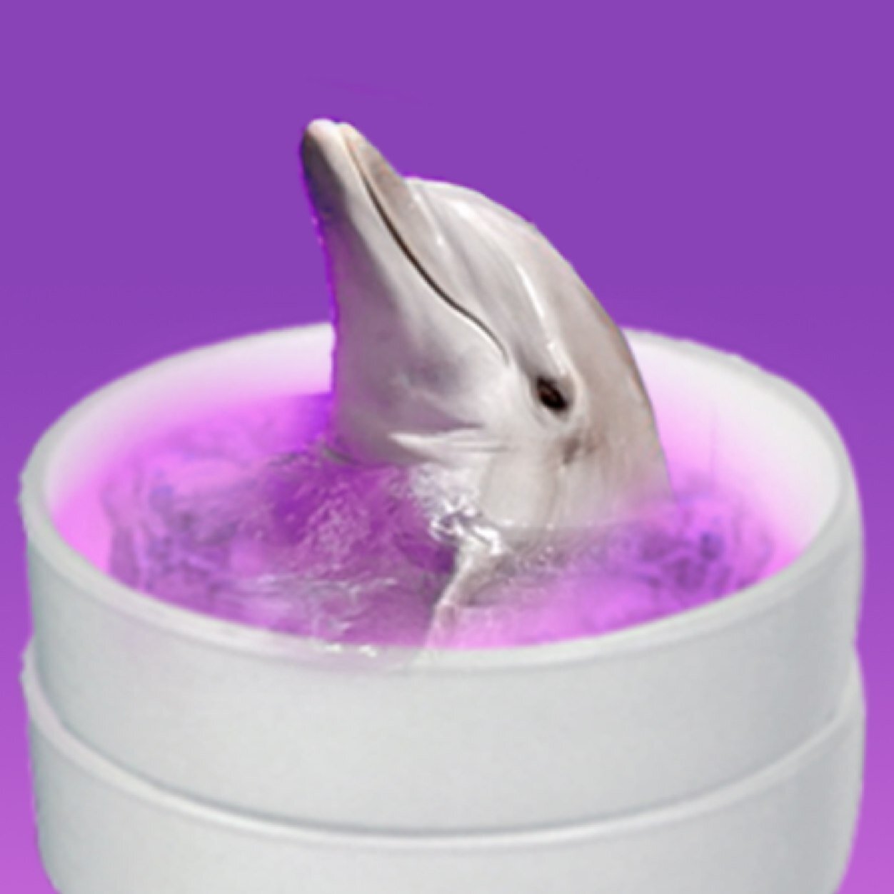 HERB CONNOISEUR #GRENADES #GRNZ #DOLPHINLIFE RALPH OG SMOKE DOLPHIN