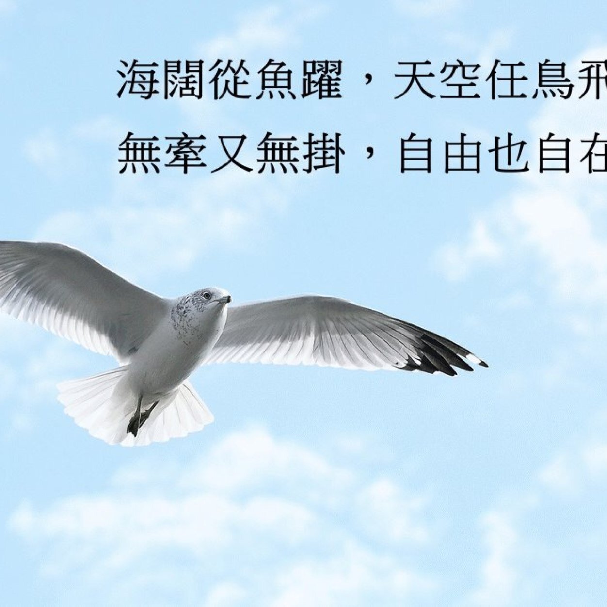 tsuntien168's profile picture. 