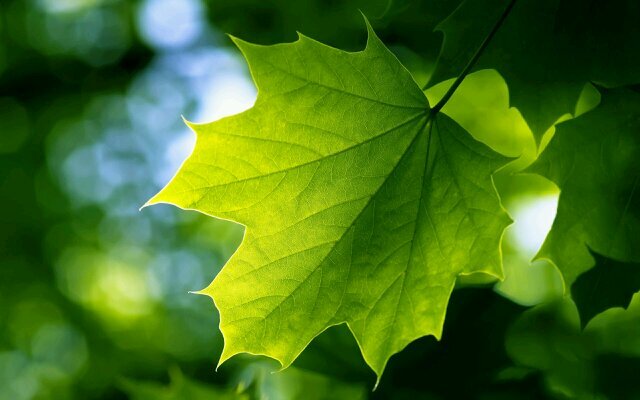 all my tweets are my works... they are my life and passion. Enjoy every single tweets that i am posting for this world.