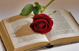 http://t.co/oNcFRVRmse un rincón donde escritores y lectores podran hallar su particular paraíso.