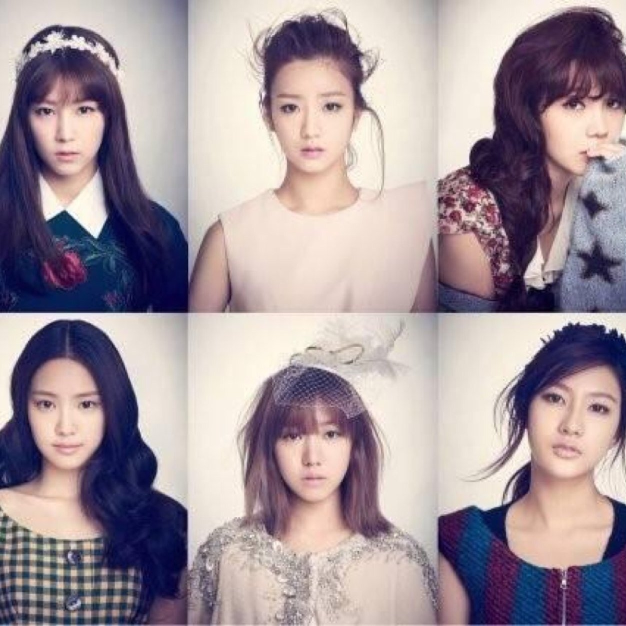 Apink Fanbase