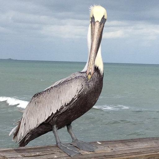 artist5709's profile picture. Christian, Artist, Crafter, Seamstress, Chef.