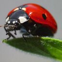 Paige Carr - @PaigeCarr12 - Twitter