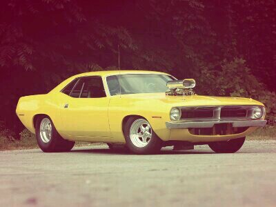 t1000zombie's profile picture. im not ur every day troller