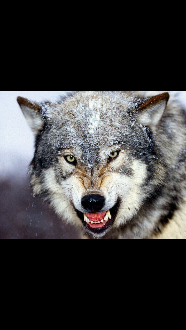 320bb9Brett's profile picture. 