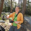 Robin Shepard - @robin4health - Twitter