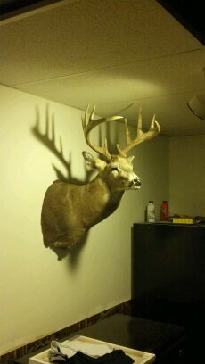 shawnkin450's profile picture. 