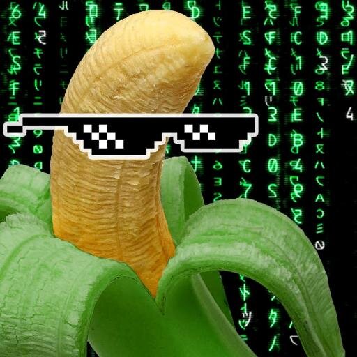 _Everspace's profile picture. Mostly crazy