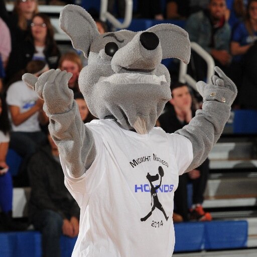 I am just a dog that loves to win. I am proud to call Assumption College my home. I am all about excellence both on and off the field. GO HOUNDS!