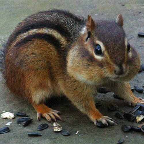 MikeB3AST223's profile picture. 