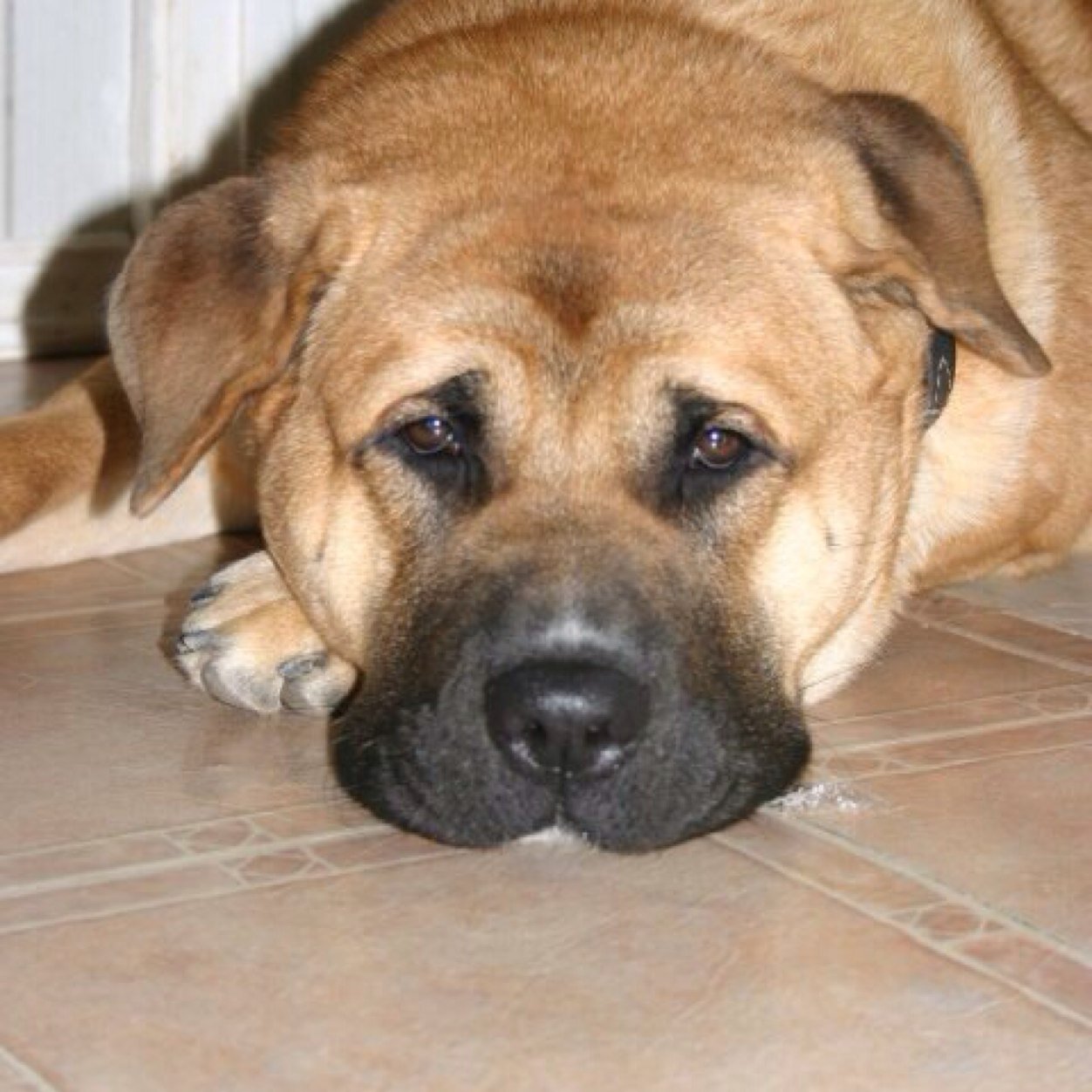 bryanbancroft1's profile picture. 