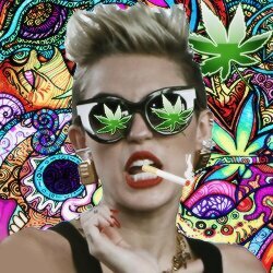 seu fc brilha e o follow é grátis, anjo. agora por gentileza segue a @wreckingtea ? ela ta em meta!