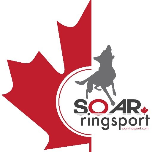 SOAR Ringsport is a Canadian Ringsport Association club in London, ON. Train Harder, Train Better, Train Smarter