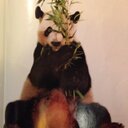 George River - @ciberpluma - Twitter