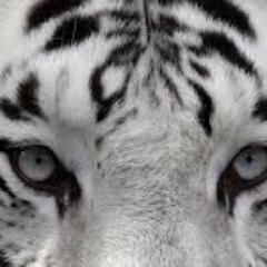 andrey78rgml's profile picture. 