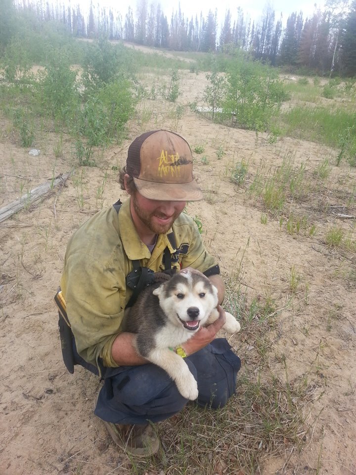 MatthewFriesenA's profile picture. GIS Analyst, Wildlife Management, B.E.S., University of Manitoba