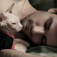 gaoggjco's profile picture. 