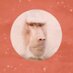 Killing Sasquatch (@killinsasquatch) Twitter profile photo