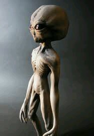 mikakunin12's profile picture. 私達が住んでいる地球にはまだまだ多くの未確認生物が存在しています。そんなミステリアスな彼らを紹介していきます！！