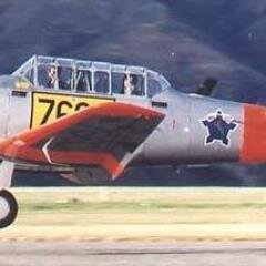 springbok1955's profile picture. 