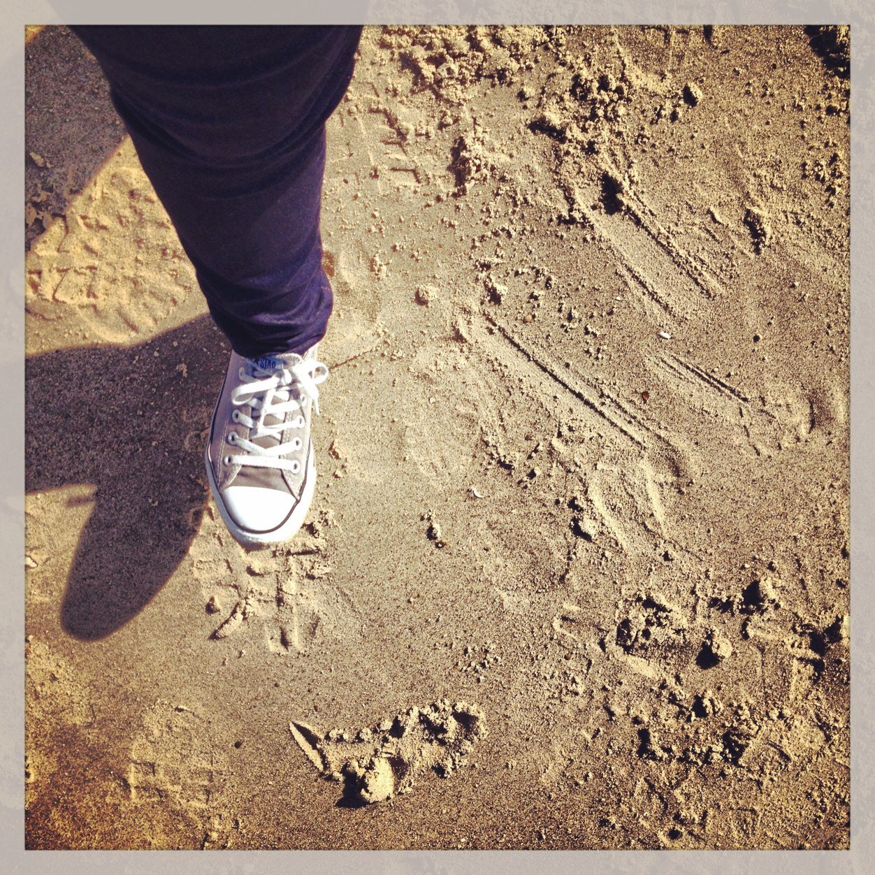 Cha_Kri's profile picture. 