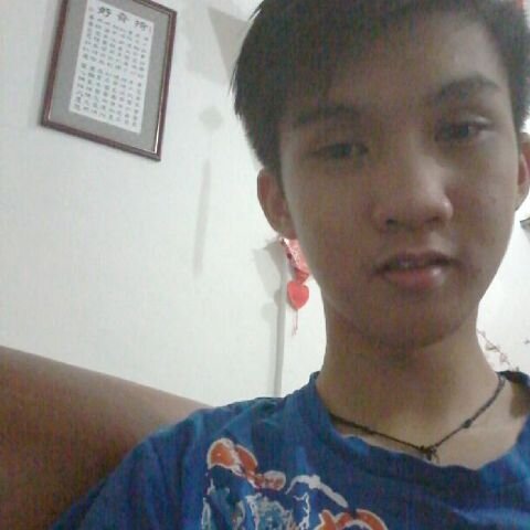 Pin; 29E61E10