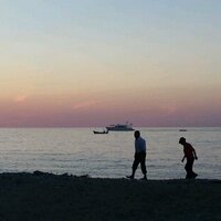 Müsadenle (@smtsgm) Twitter profile photo