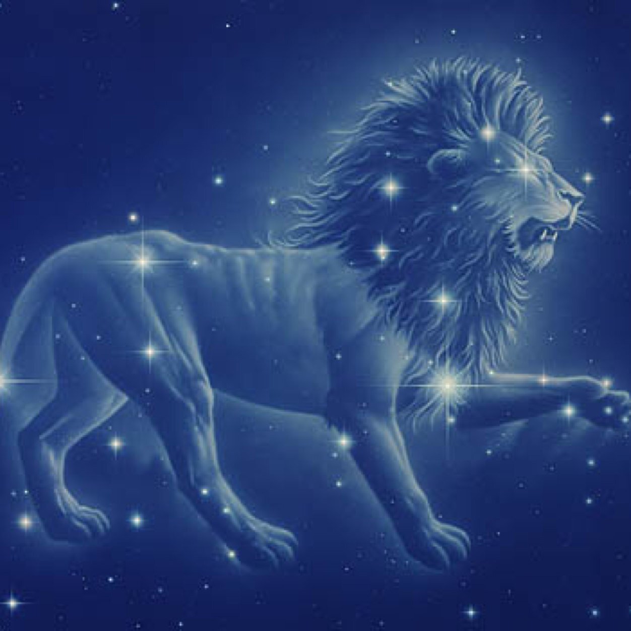 Daily leo horoscope! #leo