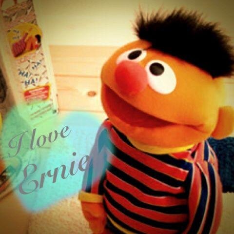 rei_lemon's profile picture. はじめまして！麗華です。初心者ですがよろしくお願いします。ゲーム/読書/ラノベ/詩/語学