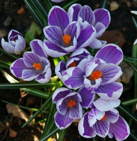 bram63's profile picture. life is not a dress rehearsal