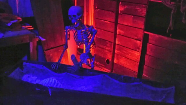 The Halloween guy