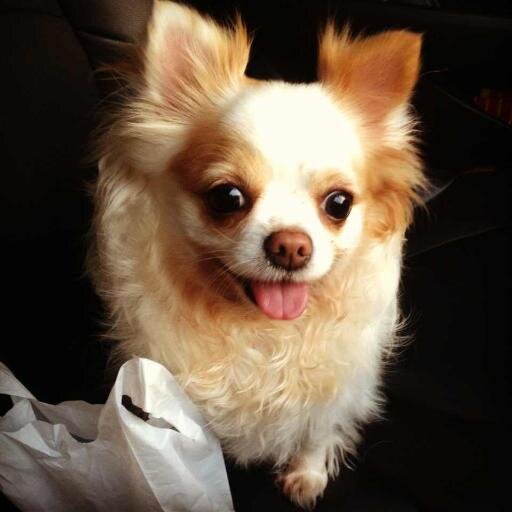 krystal_krystal's profile picture. อยากช้อปก็ช้อปไปจ้าา #มิวมิวชวนช้อป