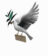 a5553n27's profile picture. 