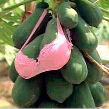 \(´▽`)--c• )( • )
#bukan_hayalan
#terpampang_nyata
#menggelinjang_manja