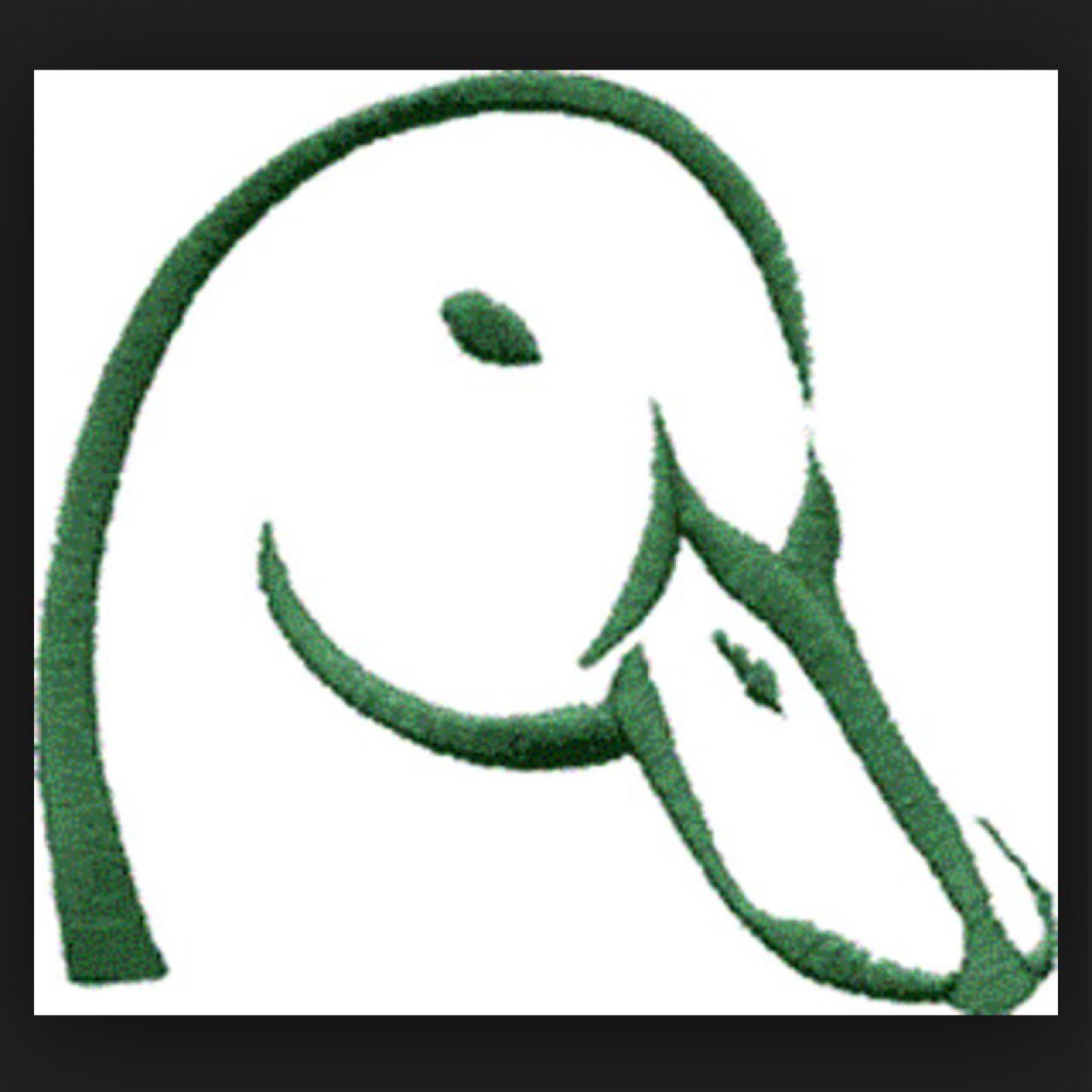 Organic free range duck eggs from traditional Khaki Campbells free to roam & paddle & eat an organic grass rich diet