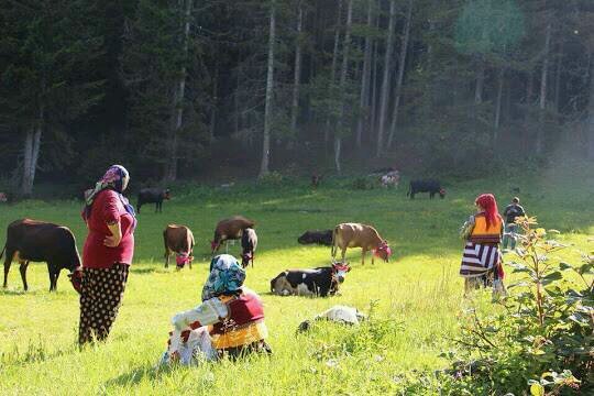 mazinoff's profile picture. muazzam uykularda