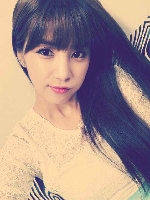FΔVOR, ApinkUnited, JakartaRP, LindoUnido, KaumKece, ChineseRP, B2UTYFAMS, KetjupFams ••