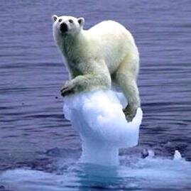 ayrton_101's profile picture. ネコが好きなフツーのおじさんです。なんとなく、つぶやいてみようかなーと思います。