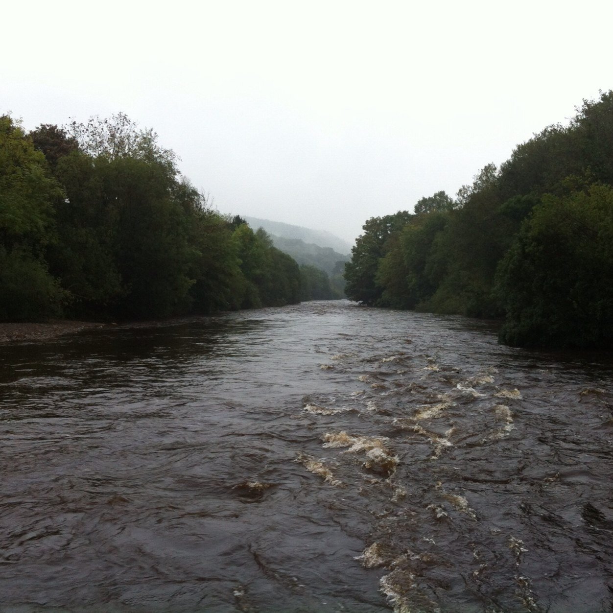 Tomadilly's profile picture. 