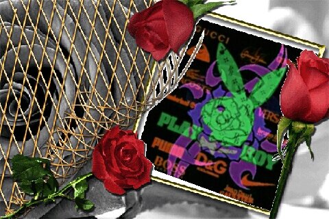 X nk d ganggu