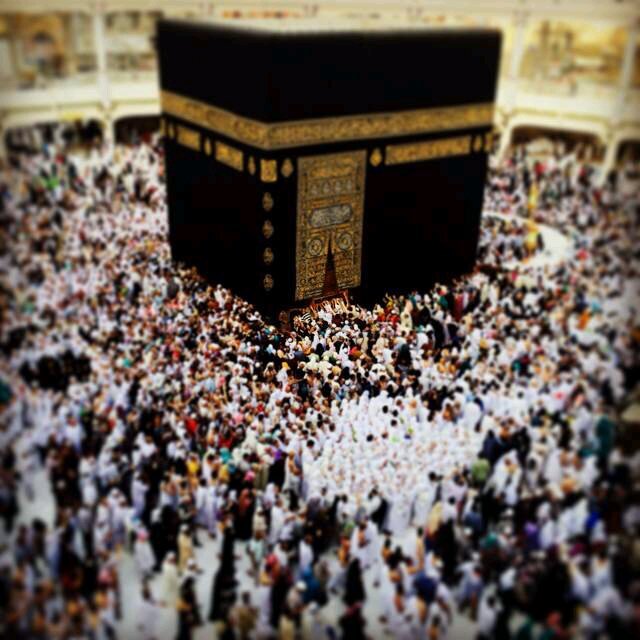 ‏‏اللهم إني أسألك علماً نافعاً، ورزقاً طيباً، وعملاً متقبلاً

.....