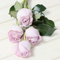 أم عبدالمجيد (@ummajeed88) 's Twitter Profile