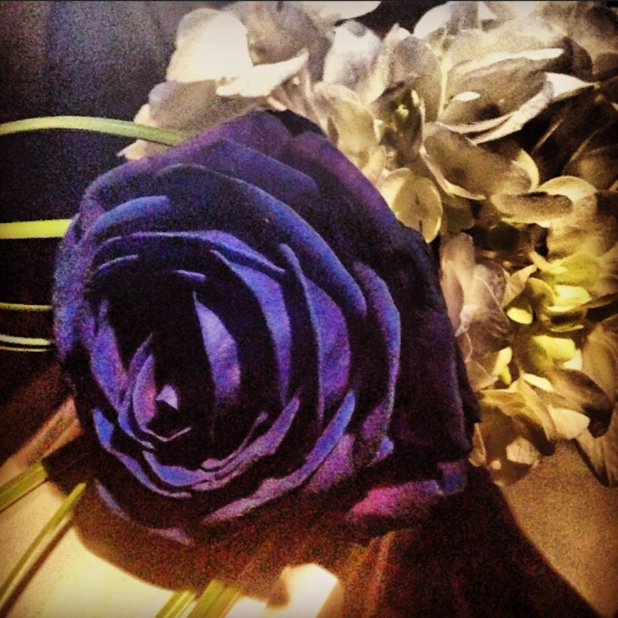 SaraAlBannai's profile picture. اللهم اني استودعك شهادة ان لا إله إلا الله
فلقّني إياها عند الموت