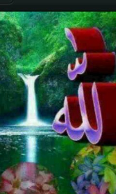 alialatwany2013's profile picture. 