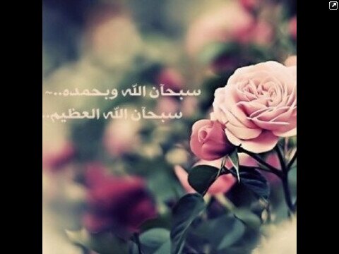 ابـوي: ♥♥استعيذ بـ ﷲ مئات المرات من دنيا تخلو منكك.                                        أمـي :♥♥لو أن كـل من ارئ انتي لما حزنت أبد.