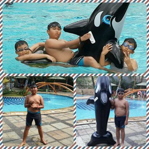 Pin:7458432C