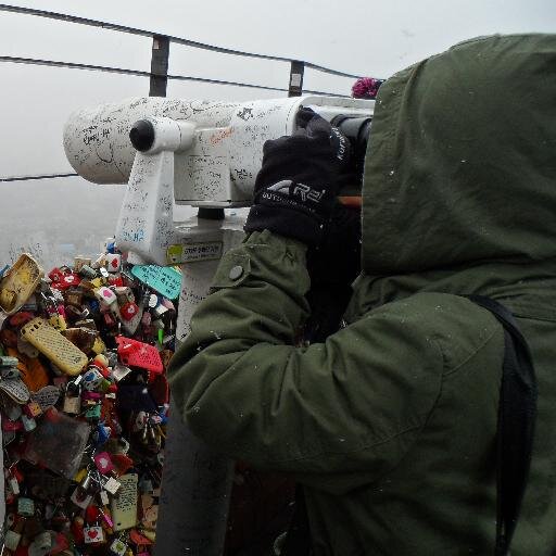 Laya_li's profile picture. 