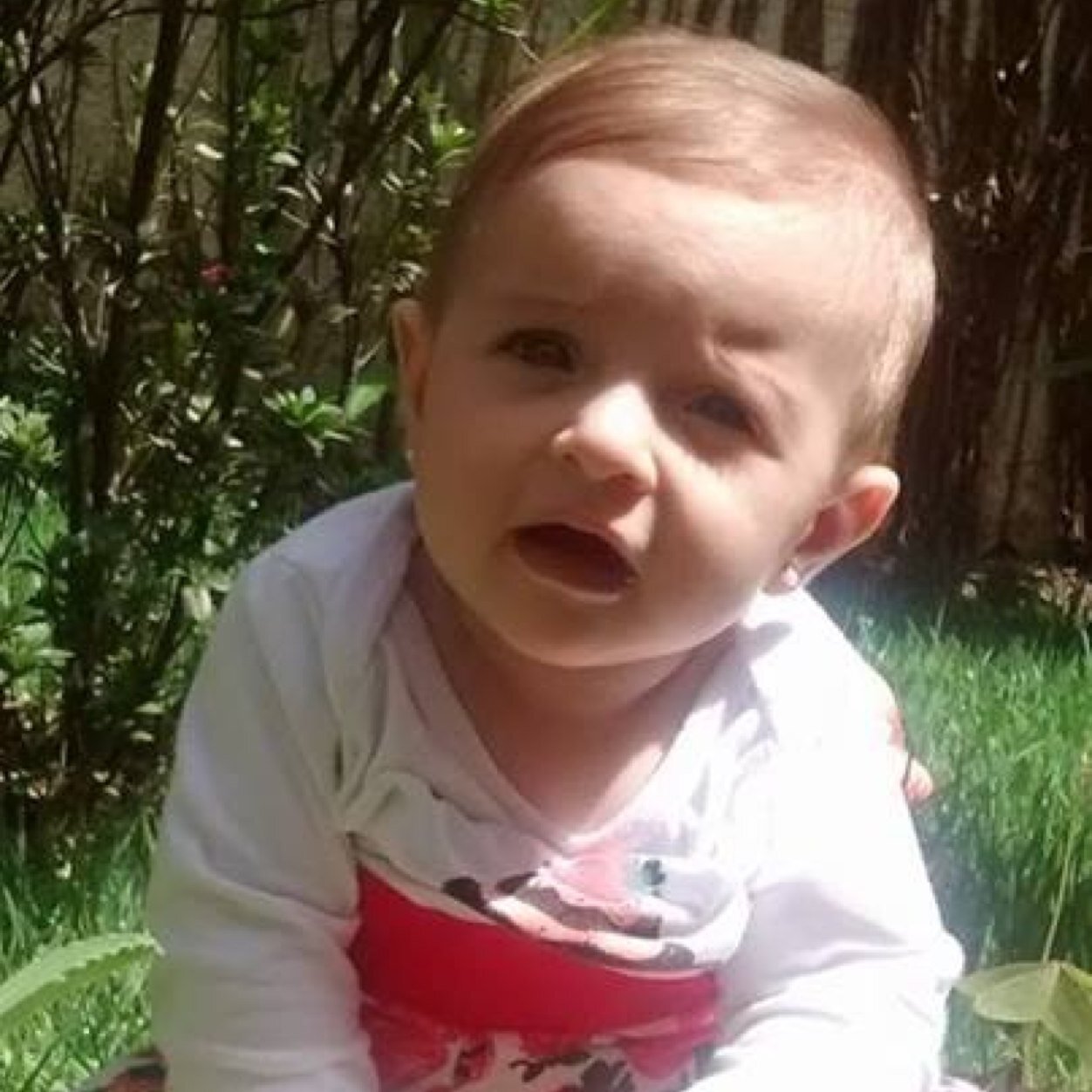 gustavocastros's profile picture. 