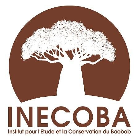INECOBA's profile picture. Institut pour l'Etude et la Conservation du Baobab