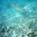 Sam draper - @draper_sam - Twitter